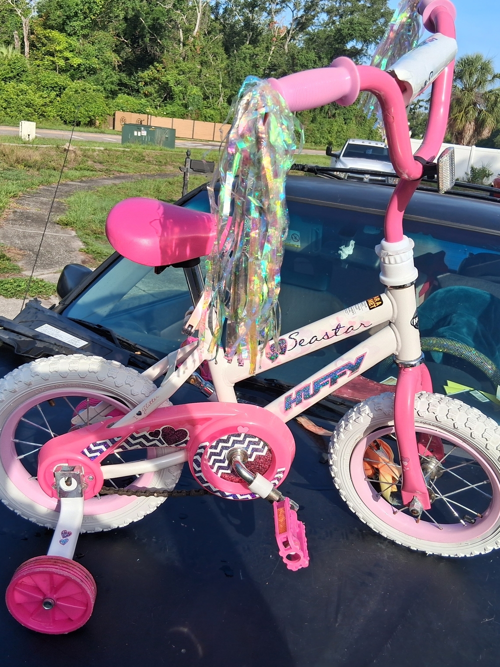 Seastar Kids' Pink & White Training Bike with Streamer Handlebars